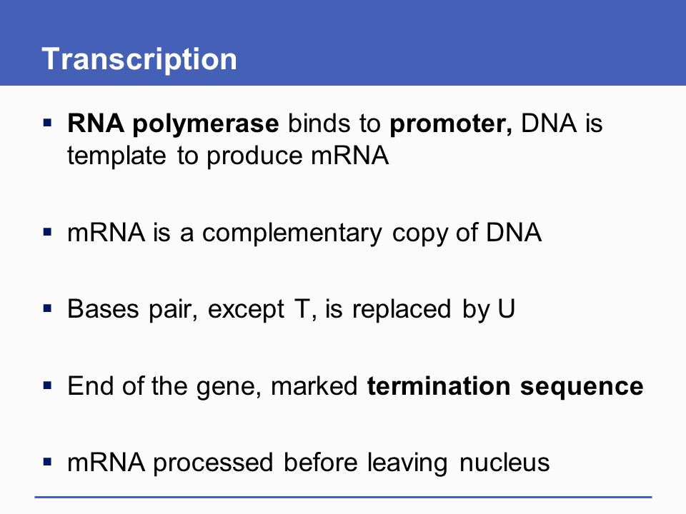 how to write a complementary mrna sequence